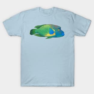 Napoleonfish (Humphead Wrasse) T-Shirt